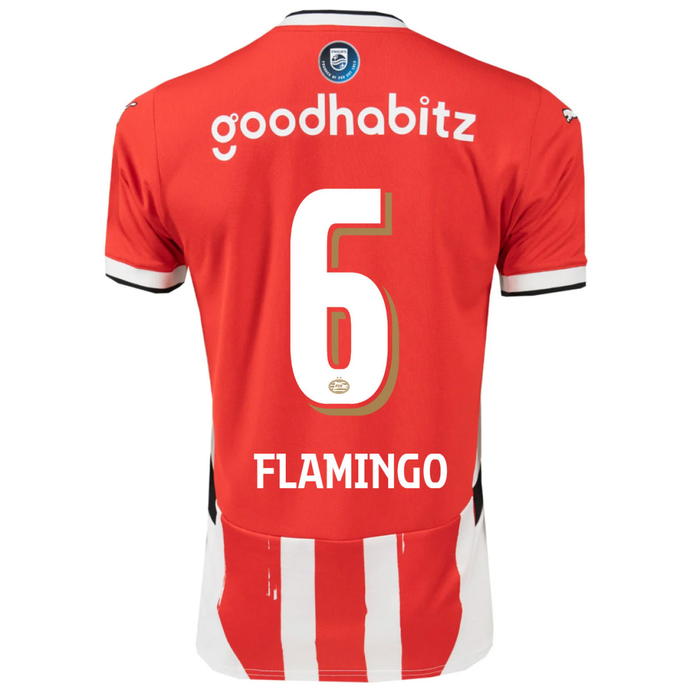 PSV Flamingo 6 Thuisshirt 2024-2025 JR