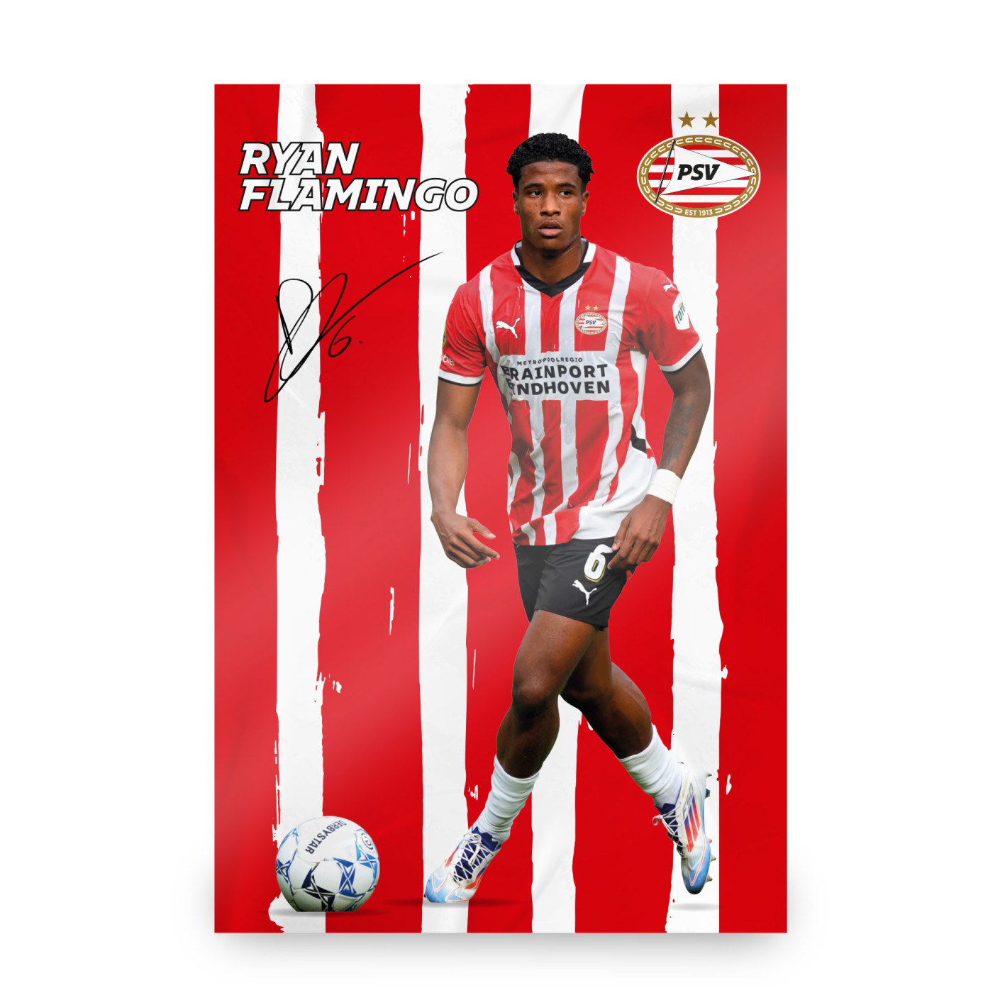 PSV Poster Flamingo 2024-2025