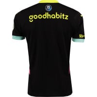 PSV Dest 8 Uitshirt 2024-2025