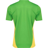 PSV Trainingsset 2024-2025 Green