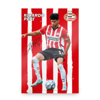 PSV Poster Pepi 2024-2025